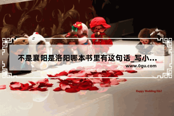 不是襄阳是洛阳哪本书里有这句话_写小人的书叫什么名