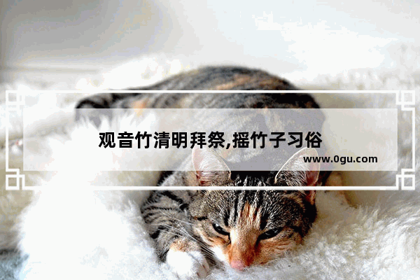 观音竹清明拜祭,摇竹子习俗