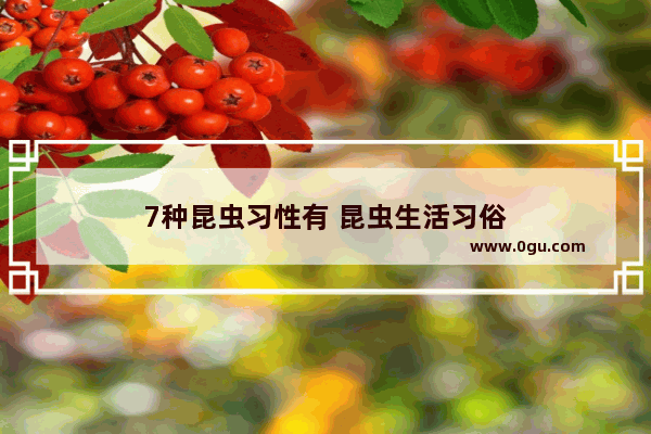 7种昆虫习性有 昆虫生活习俗
