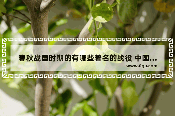 春秋战国时期的有哪些著名的战役 中国历史上大的战役