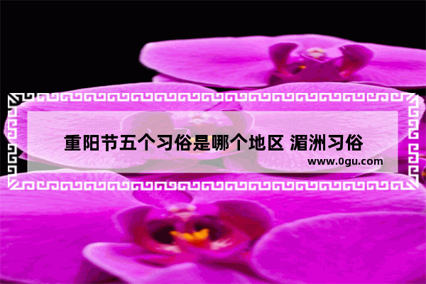 重阳节五个习俗是哪个地区 湄洲习俗