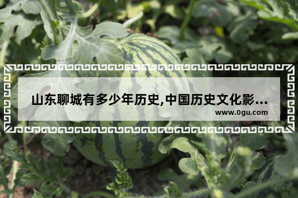 山东聊城有多少年历史,中国历史文化影像名城