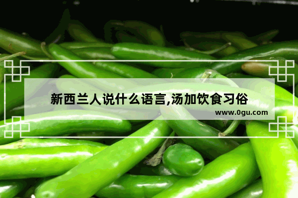 新西兰人说什么语言,汤加饮食习俗