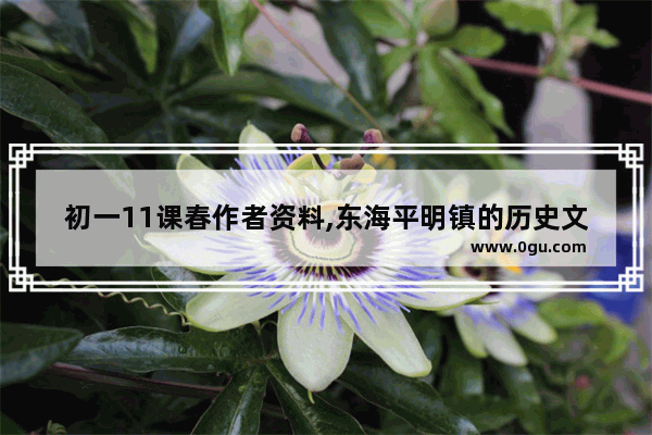 初一11课春作者资料,东海平明镇的历史文化
