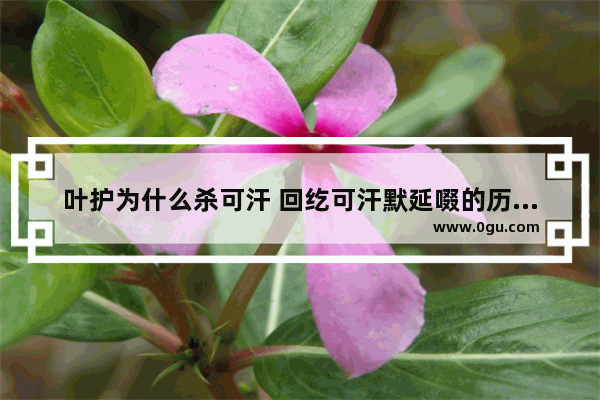 叶护为什么杀可汗 回纥可汗默延啜的历史结局好吗 可汗世界历史