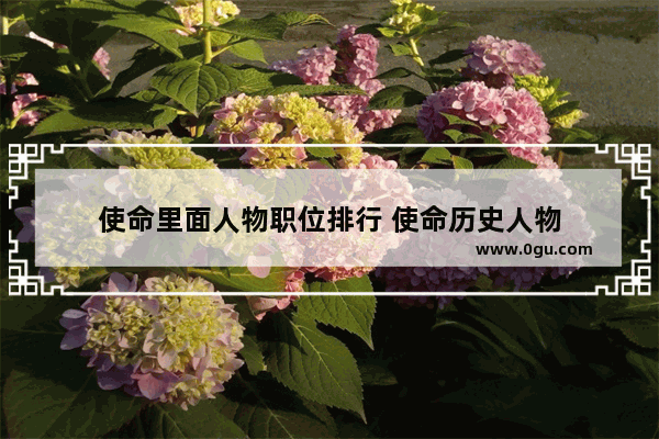 使命里面人物职位排行 使命历史人物