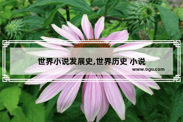 世界小说发展史,世界历史 小说