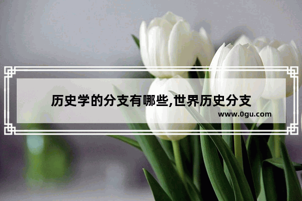 历史学的分支有哪些,世界历史分支