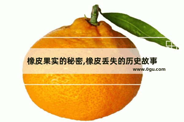 橡皮果实的秘密,橡皮丢失的历史故事