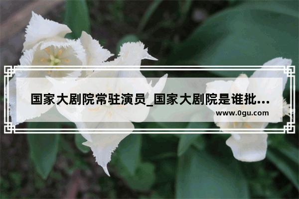 国家大剧院常驻演员_国家大剧院是谁批准建的