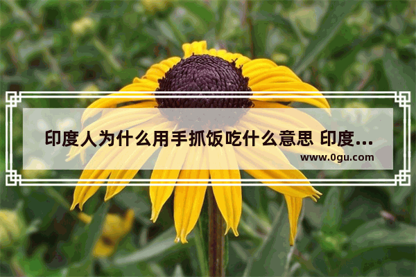 印度人为什么用手抓饭吃什么意思 印度吃饱习俗