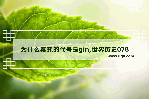 为什么秦究的代号是gin,世界历史078