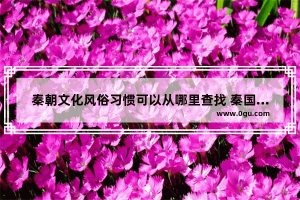 秦朝文化风俗习惯可以从哪里查找 秦国的习俗