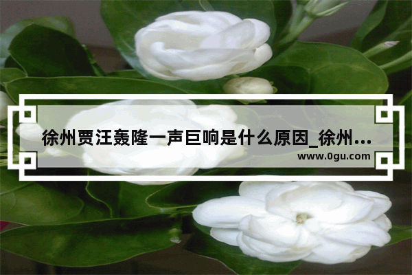 徐州贾汪轰隆一声巨响是什么原因_徐州贾汪十大名菜