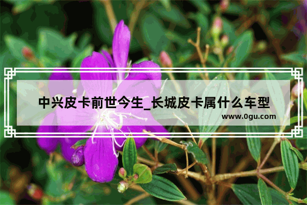中兴皮卡前世今生_长城皮卡属什么车型