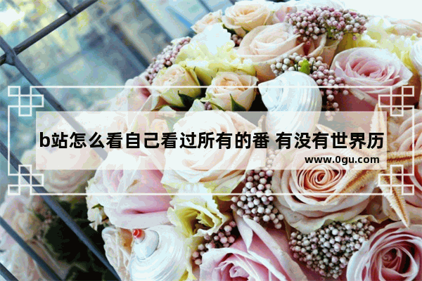 b站怎么看自己看过所有的番 有没有世界历史的番剧