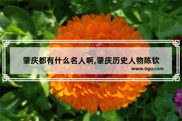 肇庆都有什么名人啊,肇庆历史人物陈钦