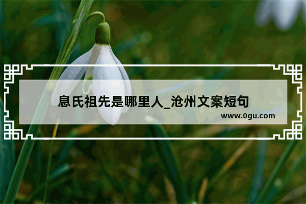 息氏祖先是哪里人_沧州文案短句