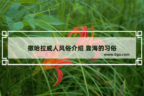 撒哈拉威人风俗介绍 靠海的习俗