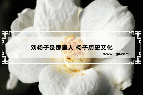 刘杨子是那里人 杨子历史文化
