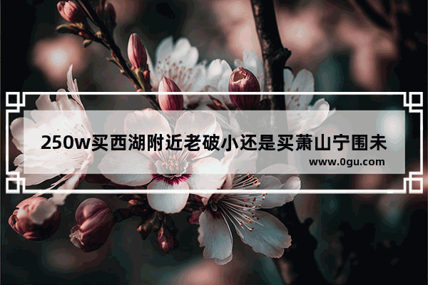 250w买西湖附近老破小还是买萧山宁围未来社区总部好_zuosen是什么品牌