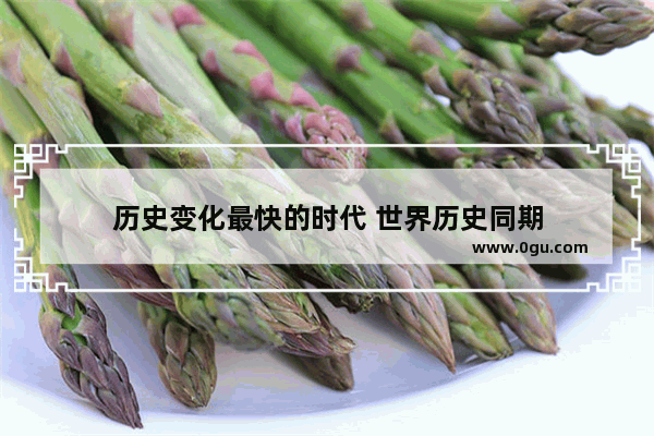 历史变化最快的时代 世界历史同期