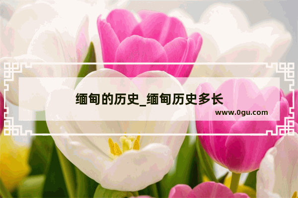 缅甸的历史_缅甸历史多长