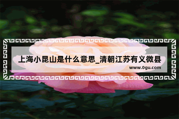 上海小昆山是什么意思_清朝江苏有义微县