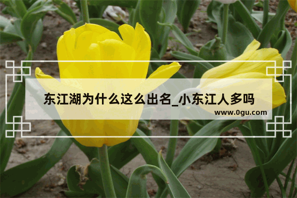 东江湖为什么这么出名_小东江人多吗