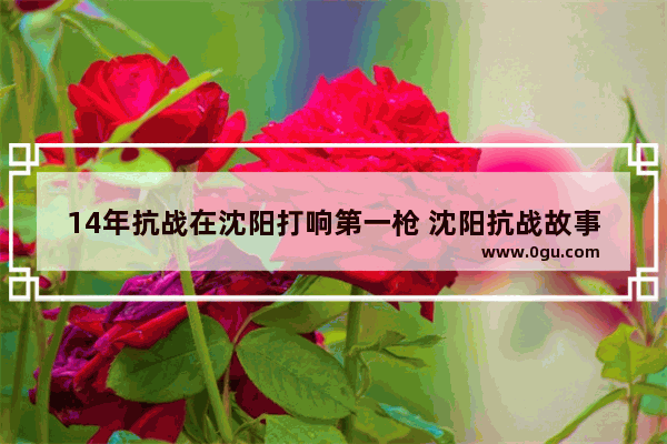 14年抗战在沈阳打响第一枪 沈阳抗战故事集阅读感悟,沈阳老人回忆历史故事