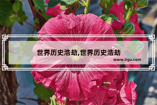 世界历史浩劫,世界历史浩劫
