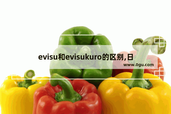 evisu和evisukuro的区别,日版世界历史