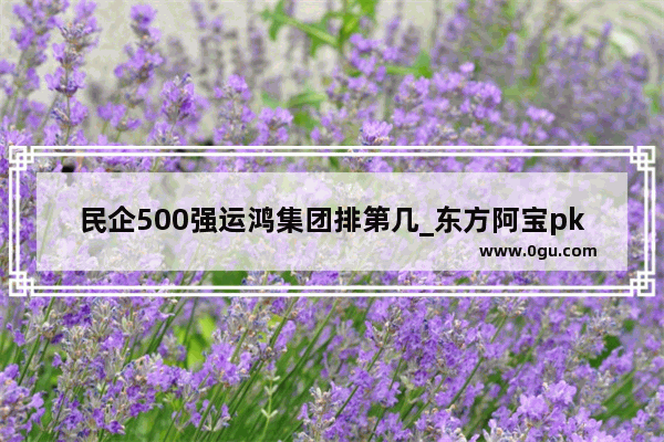 民企500强运鸿集团排第几_东方阿宝pk许华升