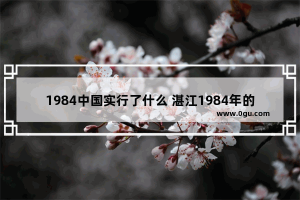 1984中国实行了什么 湛江1984年的历史文化