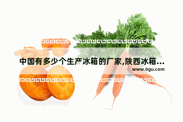 中国有多少个生产冰箱的厂家,陕西冰箱的历史故事