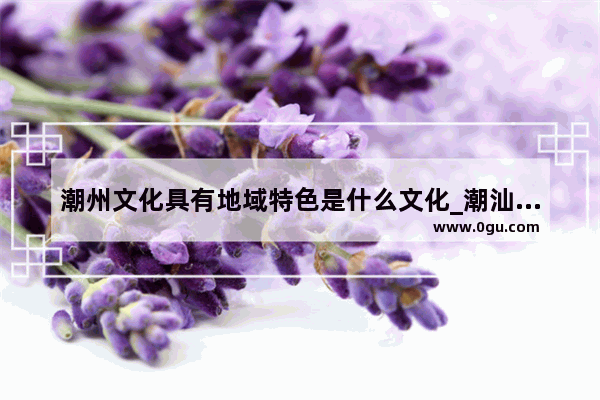 潮州文化具有地域特色是什么文化_潮汕民俗文化
