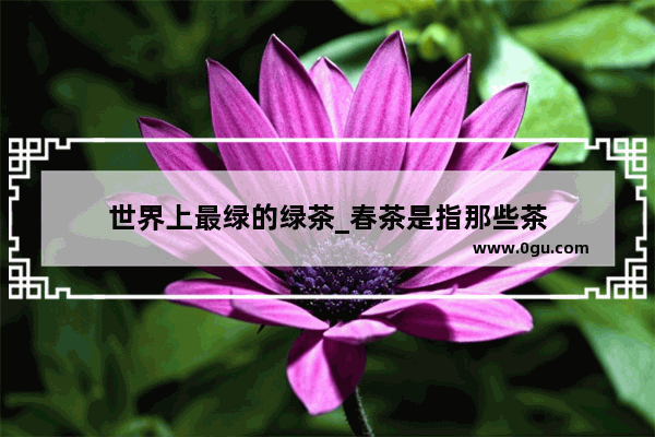 世界上最绿的绿茶_春茶是指那些茶