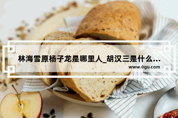 林海雪原杨子龙是哪里人_胡汉三是什么意思