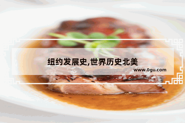 纽约发展史,世界历史北美