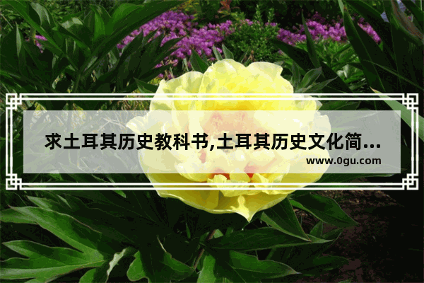 求土耳其历史教科书,土耳其历史文化简单介绍