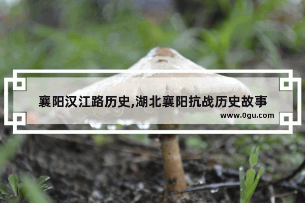襄阳汉江路历史,湖北襄阳抗战历史故事