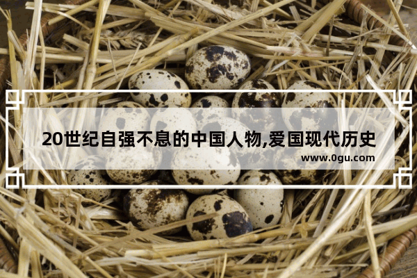 20世纪自强不息的中国人物,爱国现代历史人物有谁