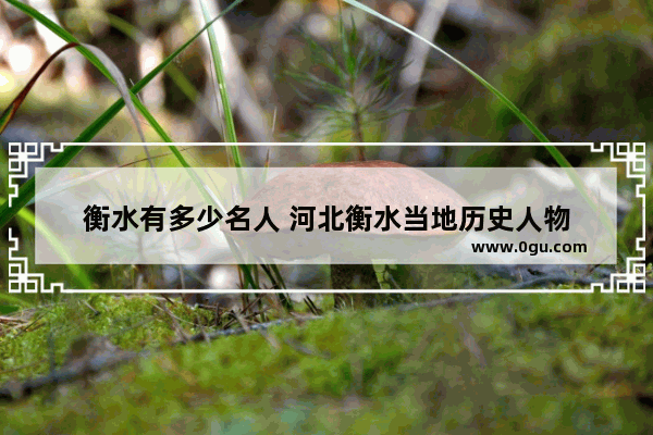 衡水有多少名人 河北衡水当地历史人物
