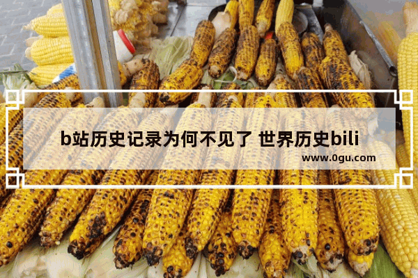 b站历史记录为何不见了 世界历史bili