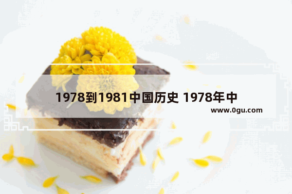 1978到1981中国历史 1978年中国历史