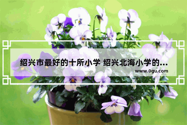 绍兴市最好的十所小学 绍兴北海小学的历史文化