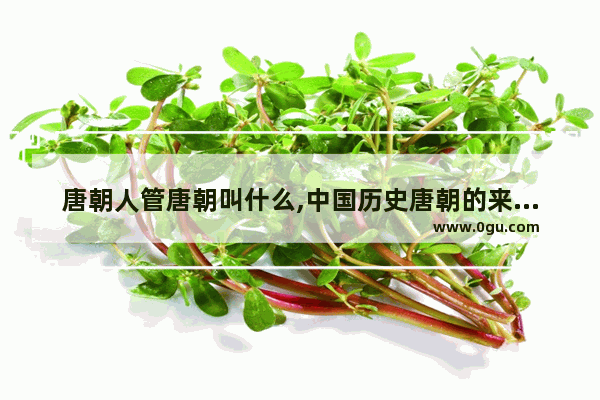唐朝人管唐朝叫什么,中国历史唐朝的来历简介