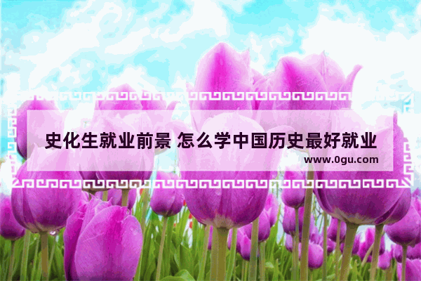 史化生就业前景 怎么学中国历史最好就业