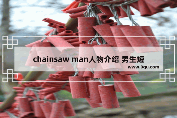 chainsaw man人物介绍 男生短发的历史人物