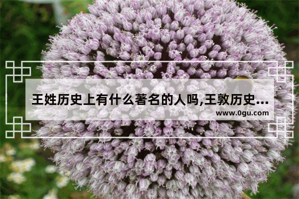 王姓历史上有什么著名的人吗,王敦历史人物介绍